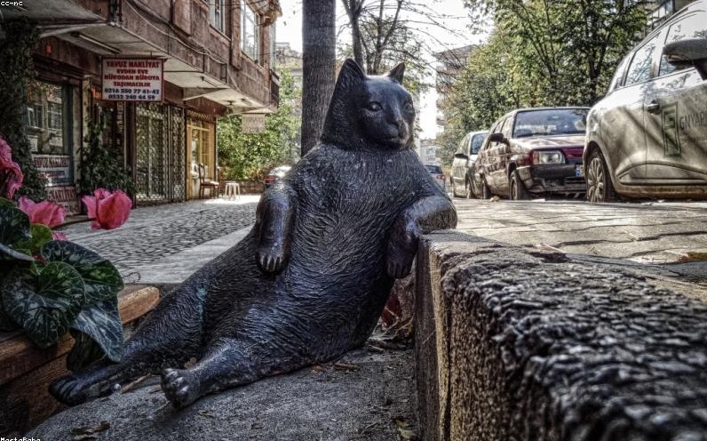 2026年3月17日，深圳湾上空突然静默：低空经济不是起飞了，是被‘交规’按在了起降坪