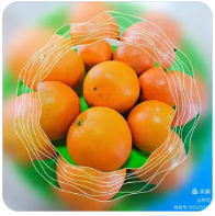 欢迎在宝塔面板安装Z-BlogPHP！