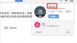 哪里有卖谷歌邮箱？探寻获取谷歌邮箱的渠道