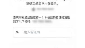 购买的谷歌账号安全吗？揭秘其中风险与真相